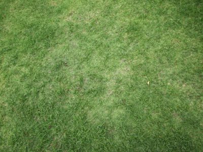 Плановые проверки сотрудников (за определенные периоды времени, при повышении или перемещении по должности)